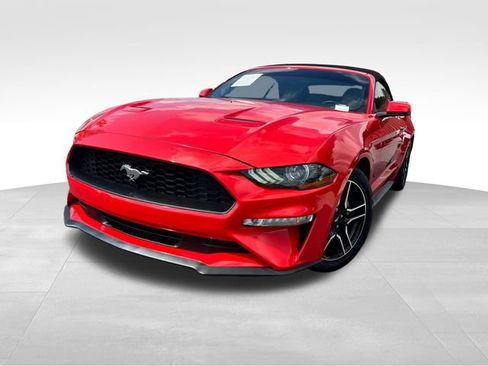 Used 2019 Ford Mustang Premium RWD image 9