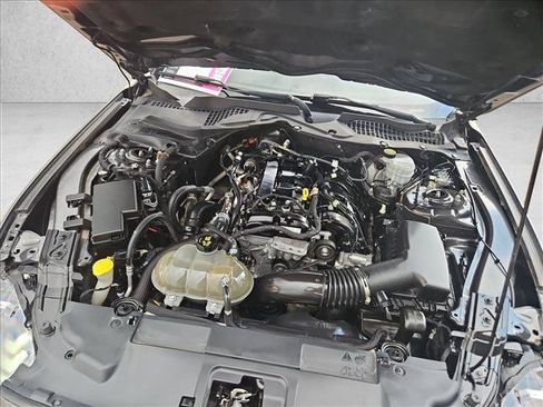 Used 2019 Ford Mustang Coupe RWD image 23