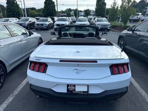 Used 2024 Ford Mustang Premium RWD image 3
