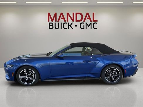 Used 2024 Ford Mustang Premium image 10