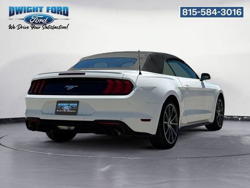 Used 2019 Ford Mustang Premium w/ Equipment Group 201A RWD image 5