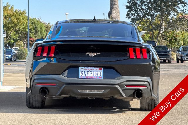 Used 2024 Ford Mustang Premium RWD image 7