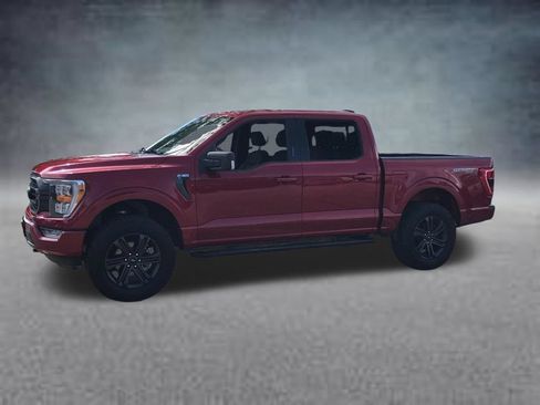 Used 2021 Ford F150 XLT w/ Equipment Group 302A High AWD/4WD image 6