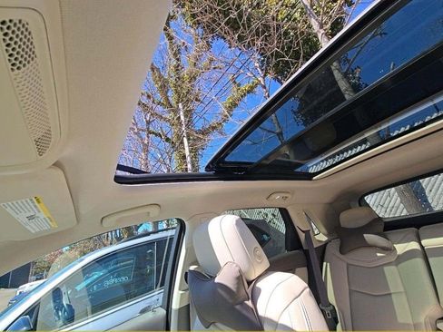 Used 2023 Cadillac XT5 Premium Luxury w/ Technology Package image 8