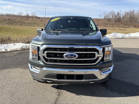 Used 2021 Ford F150 XLT w/ Equipment Group 302A High image 8