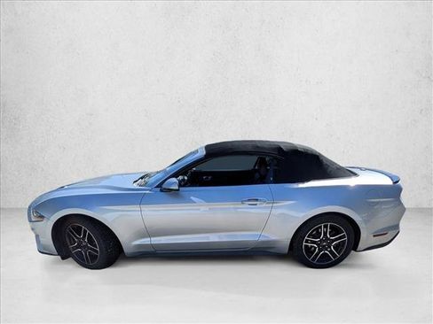 Used 2019 Ford Mustang Premium image 3