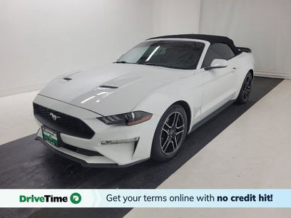 Used 2021 Ford Mustang Premium