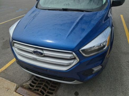 Used 2019 Ford Escape SE FWD image 2
