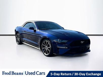 Used 2019 Ford Mustang Premium w/ Equipment Group 201A