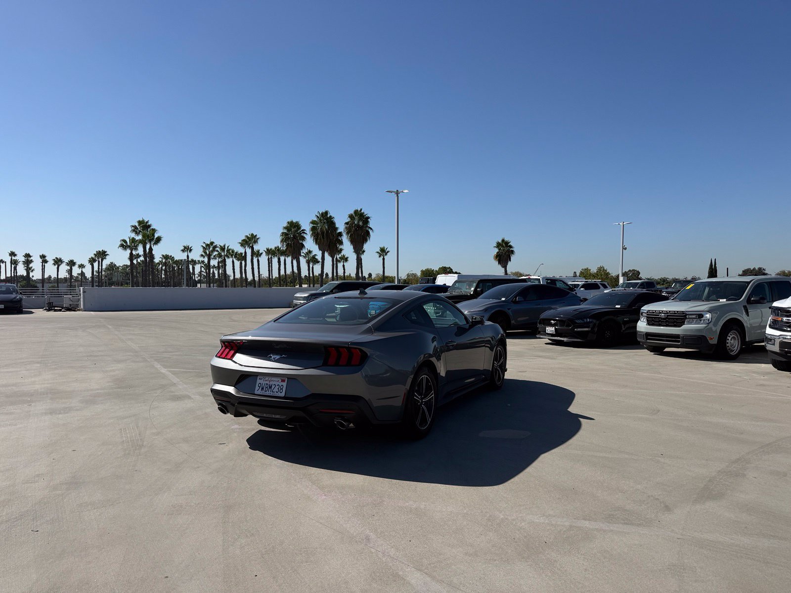 Used 2025 Ford Mustang Coupe RWD image 3