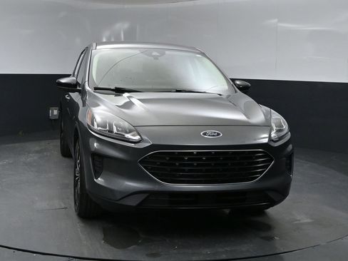 Used 2022 Ford Escape SE w/ SE Sport Appearance Package AWD/4WD image 6