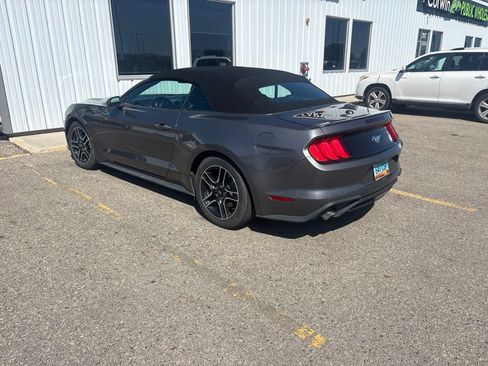 Used 2022 Ford Mustang Premium RWD image 4