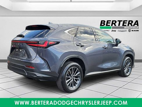 Used 2022 Lexus NX 250 AWD w/ Cold Area Package image 6