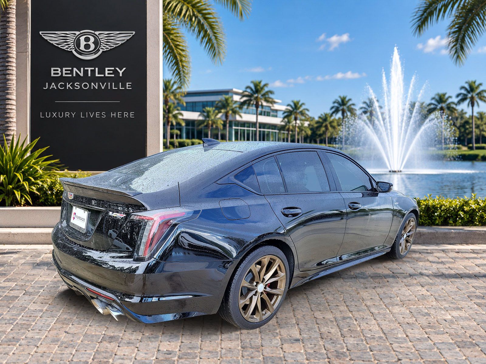 Used 2022 Cadillac CT5 V w/ Premium Package RWD image 5