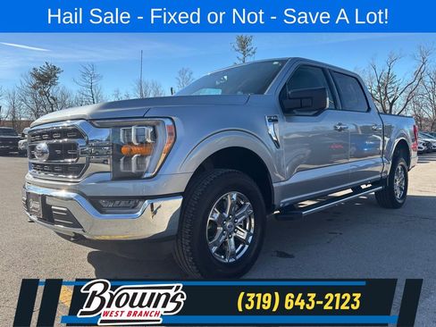 Used 2023 Ford F150 XLT w/ Equipment Group 302A High AWD/4WD image 1