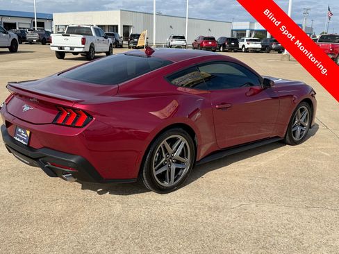 Certified 2025 Ford Mustang Premium image 5