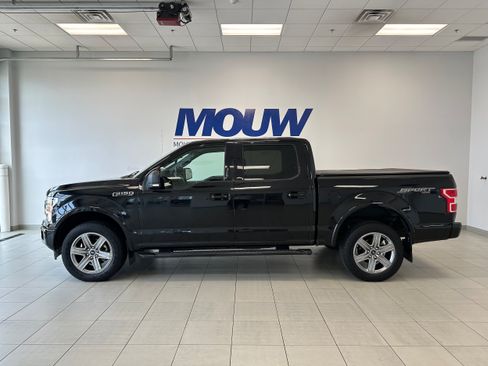 Used 2019 Ford F150 XLT w/ Equipment Group 302A Luxury AWD/4WD image 1