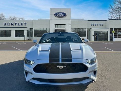 Used 2019 Ford Mustang Convertible image 2