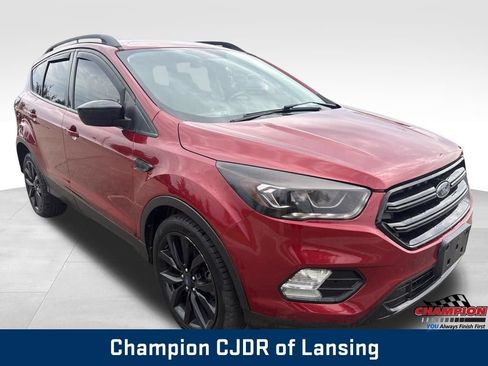 Used 2019 Ford Escape SE FWD image 9