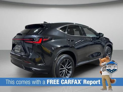 Certified 2024 Lexus NX 350 AWD image 4