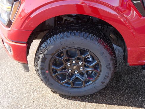 Used 2025 Ford F150 XLT w/ Equipment Group 302A MID image 15