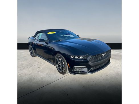 Used 2025 Ford Mustang Premium image 2