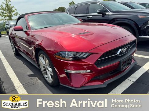 Used 2018 Ford Mustang Premium w/ Equipment Group 201A RWD image 1