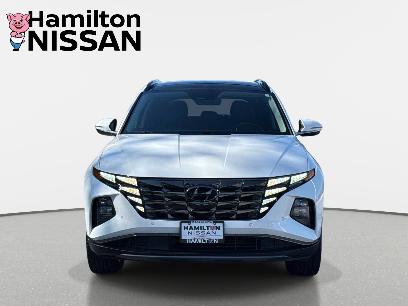 Used 2024 Hyundai Tucson Limited AWD/4WD image 6
