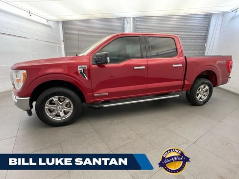 Used 2021 Ford F150 XLT w/ Equipment Group 301A Mid AWD/4WD image 1