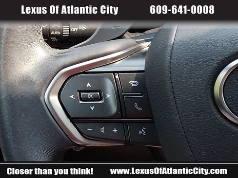 Certified 2024 Lexus RX 350 Premium w/ Cold Area Package AWD/4WD image 22