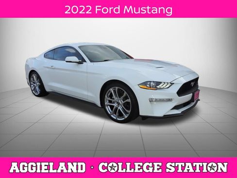 Used 2022 Ford Mustang Premium w/ Equipment Group 201A RWD image 1