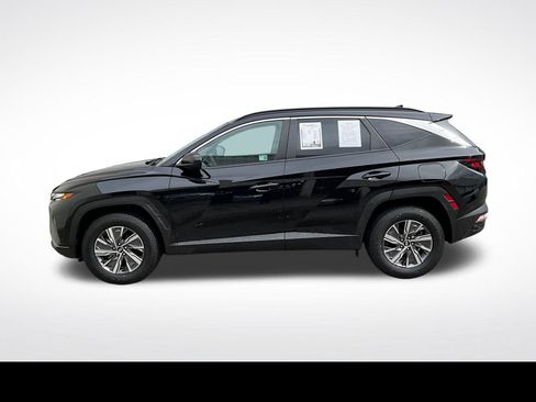 Used 2024 Hyundai Tucson Blue AWD/4WD image 15