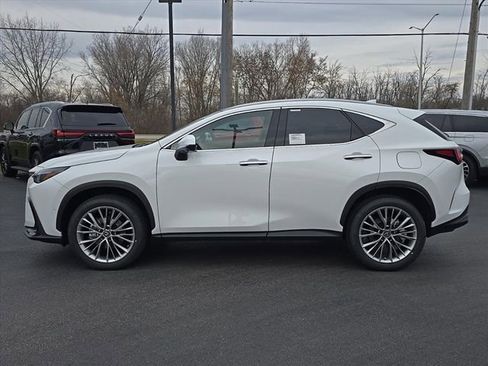 Certified 2026 Lexus NX 350 AWD w/ Cold Area Package image 5