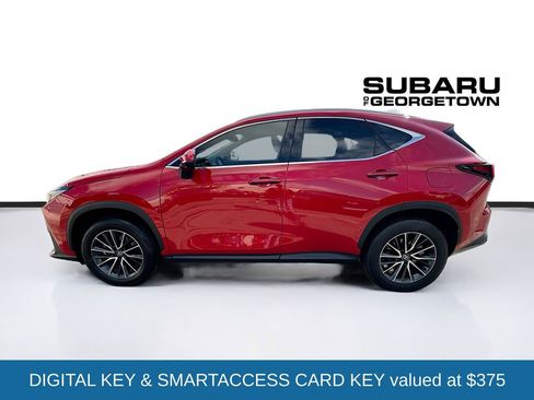 Used 2025 Lexus NX 350 AWD w/ Cold Area Package image 4