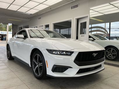 New 2025 Ford Mustang Premium