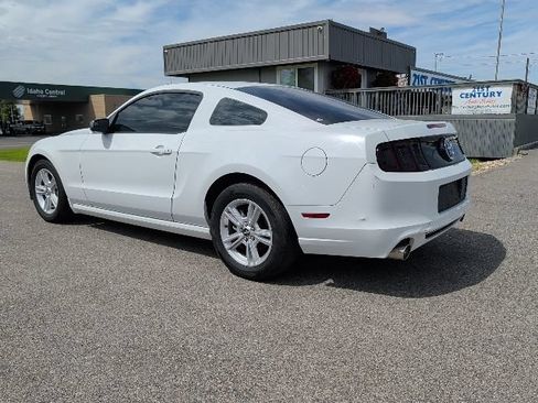 Used 2014 Ford Mustang Coupe RWD image 5