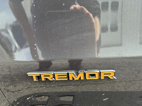 Used 2025 Ford Expedition Tremor AWD/4WD image 28