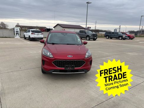 Used 2020 Ford Escape SE image 8