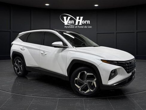 Used 2022 Hyundai Tucson Limited image 1