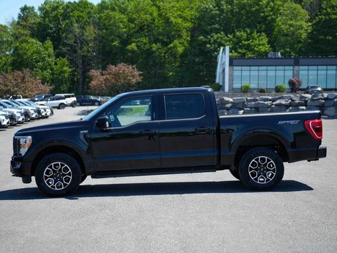 Certified 2023 Ford F150 XLT w/ Equipment Group 302A High AWD/4WD image 8