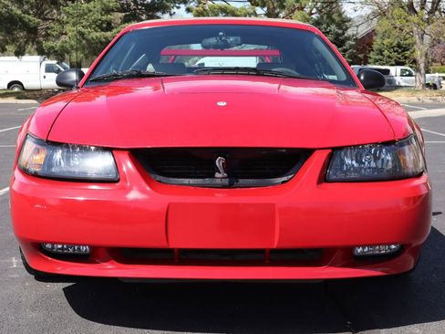 Used 1999 Ford Mustang Cobra image 13