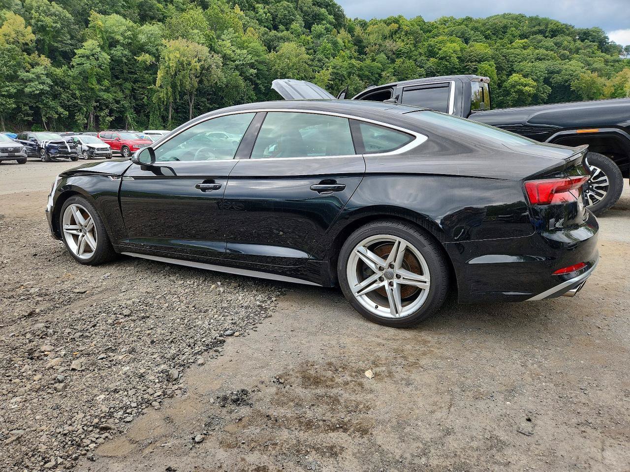 Used 2019 Audi S5 Premium Plus w/ Premium Plus AWD/4WD image 4
