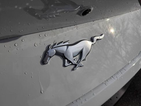 New 2026 Ford Mustang Coupe image 14