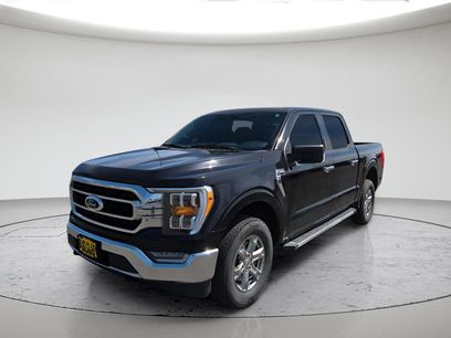 Used 2023 Ford F150 XLT w/ Equipment Group 302A High