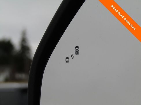 Used 2024 Ford F250 Platinum image 9