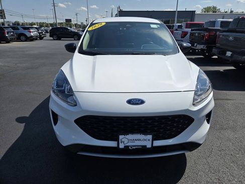 Used 2020 Ford Escape SE Sport image 3
