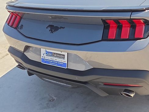 New 2026 Ford Mustang Coupe w/ Mustang Nite Pony Package RWD image 14