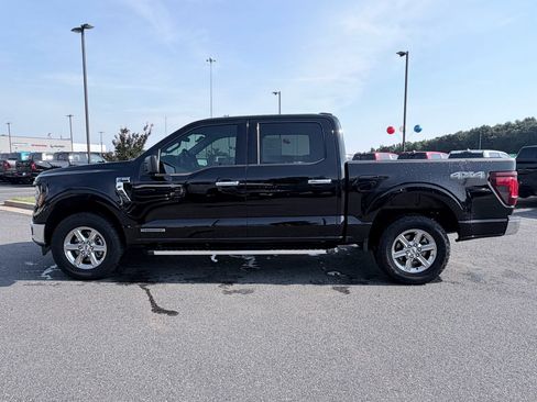 Used 2025 Ford F150 XLT w/ Equipment Group 301A Standard AWD/4WD image 5