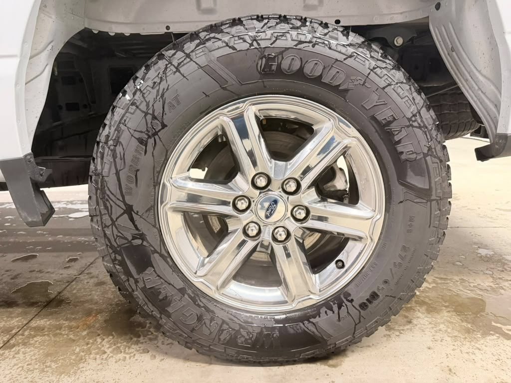 Used 2025 Ford F150 XLT w/ Equipment Group 301A Standard AWD/4WD image 16
