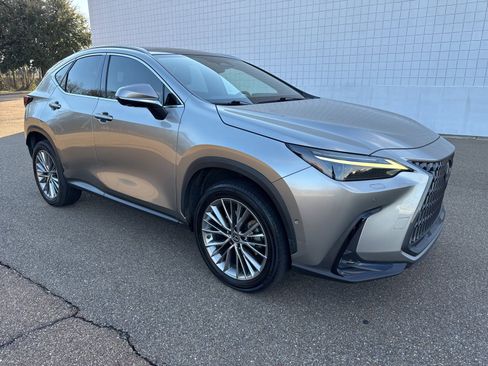 Used 2022 Lexus NX 350h 350h Luxury image 1